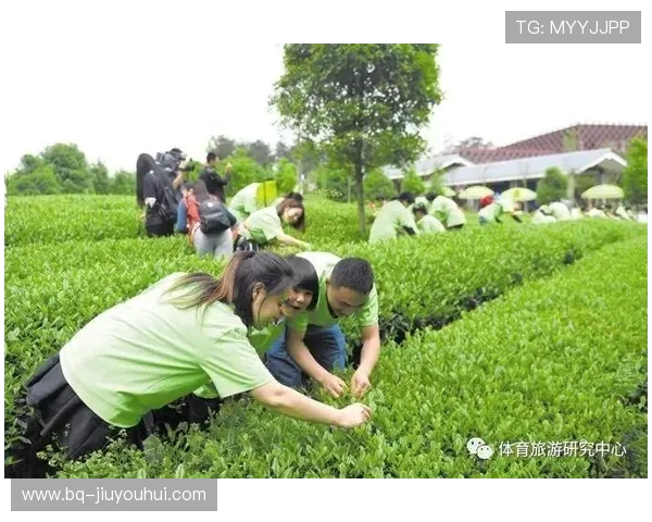 面向足球个体攻防能力提升的系统化专项训练方案设计研究路径探索